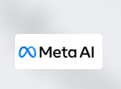 <font color=red>MeatAI-图层化</font>