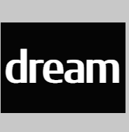 <font color=red>Dream.ai</font>